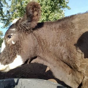 Meet your Posher, Gretchen